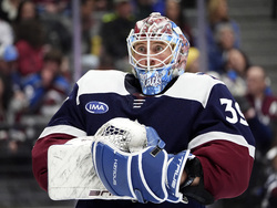 Wild Avalanche Hockey
