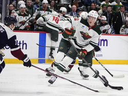 Wild Avalanche Hockey
