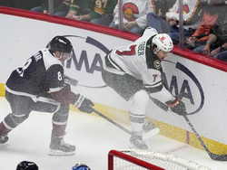 Wild Avalanche Hockey