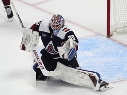 Wild Avalanche Hockey