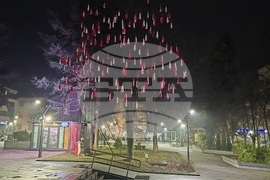 Враца - Баба марта - украса