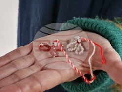 Село Топчии - читалище - проект