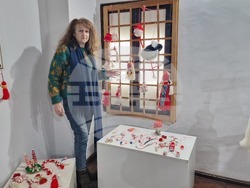 Село Топчии - читалище - проект