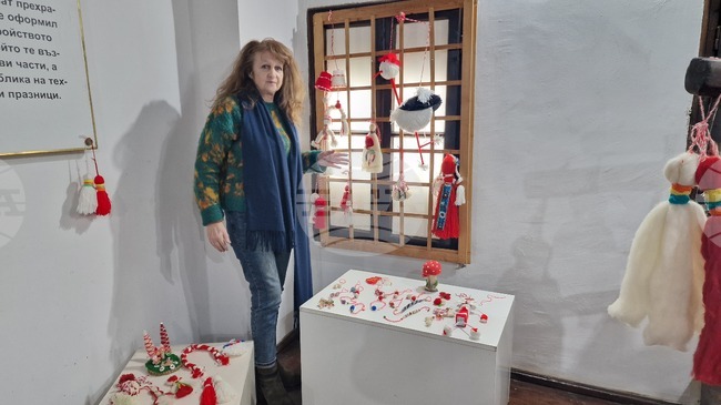 Село Топчии - читалище - проект