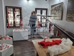 Село Топчии - читалище - проект