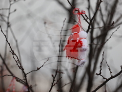 Етрополе - Баба Марта - украса