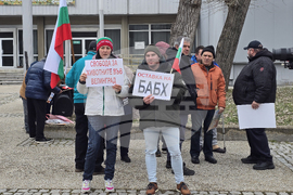 Добрич - протест - пчеларски организации