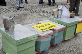 Добрич - протест - пчеларски организации