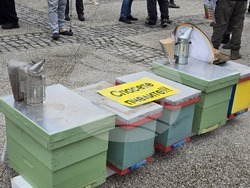 Добрич - протест - пчеларски организации