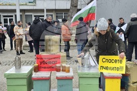 Добрич - протест - пчеларски организации