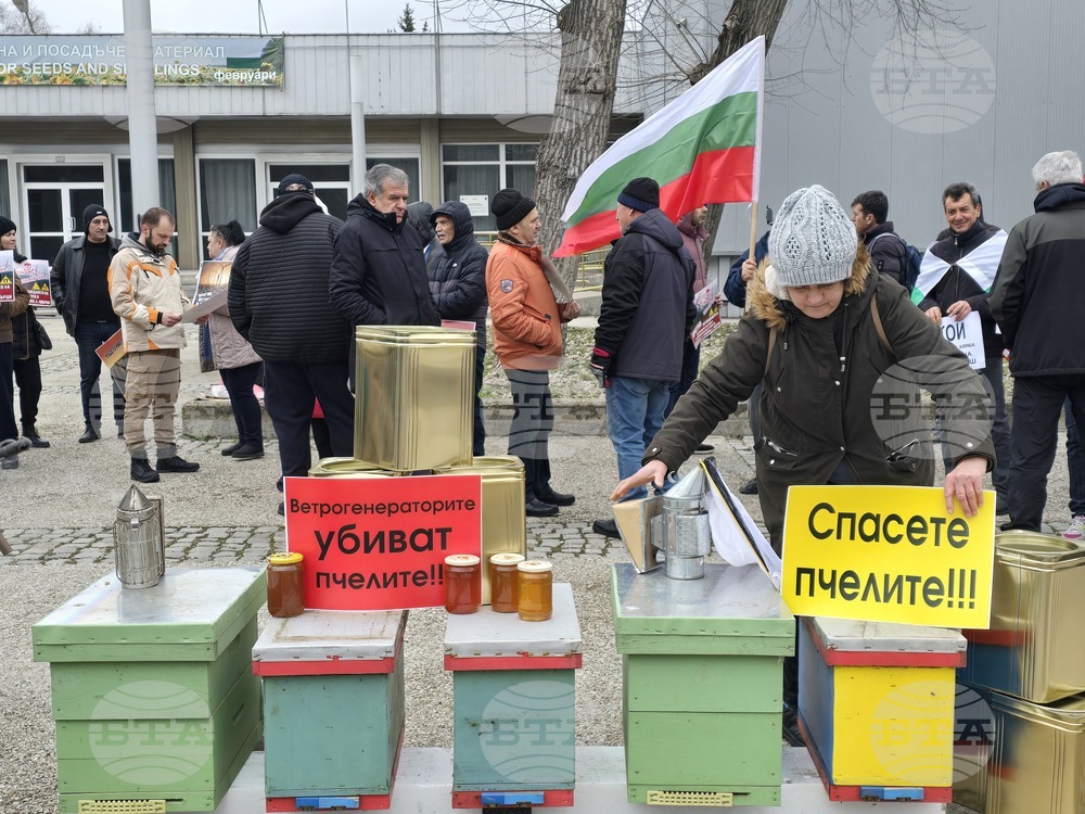 Добрич - протест - пчеларски организации