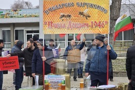 Добрич - протест - пчеларски организации