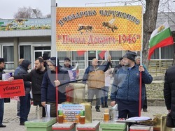 Добрич - протест - пчеларски организации