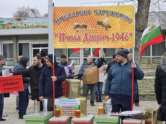 Добрич - протест - пчеларски организации