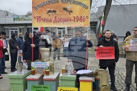 Добрич - протест - пчеларски организации