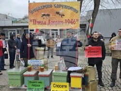 Добрич - протест - пчеларски организации