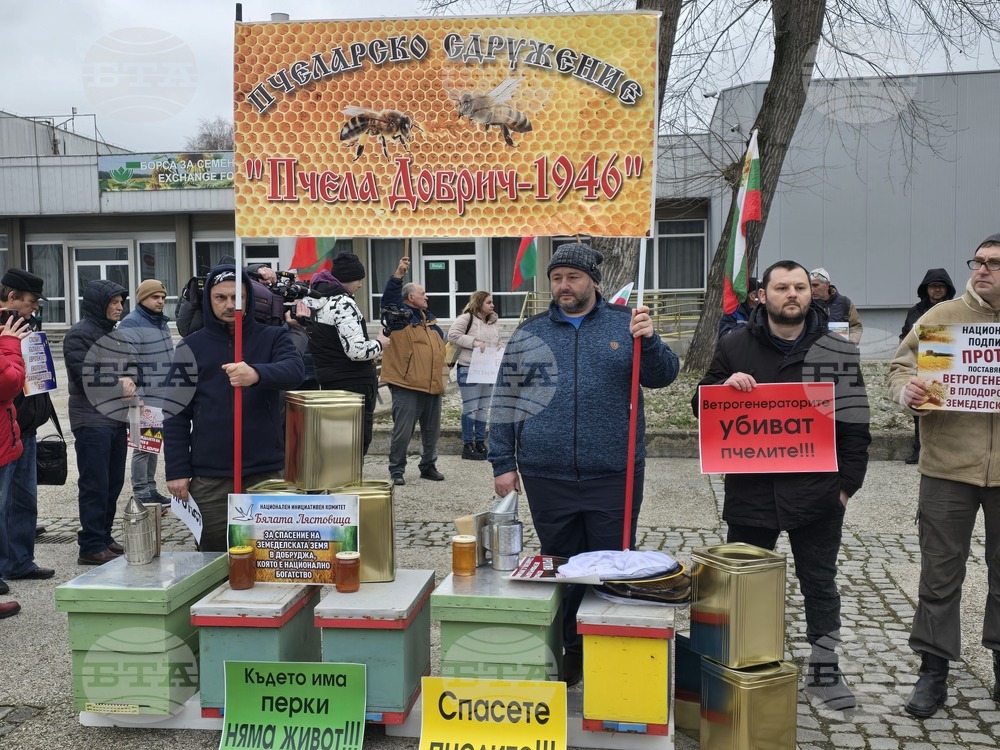 Добрич - протест - пчеларски организации