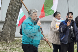 Добрич - протест - пчеларски организации
