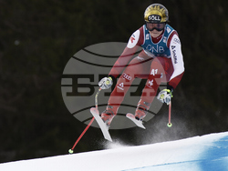 Norway Alpine Skiing World Cup
