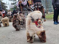 Ямбол - фестивал „Кукерлания“