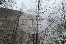 Петрохански проход - мъгла