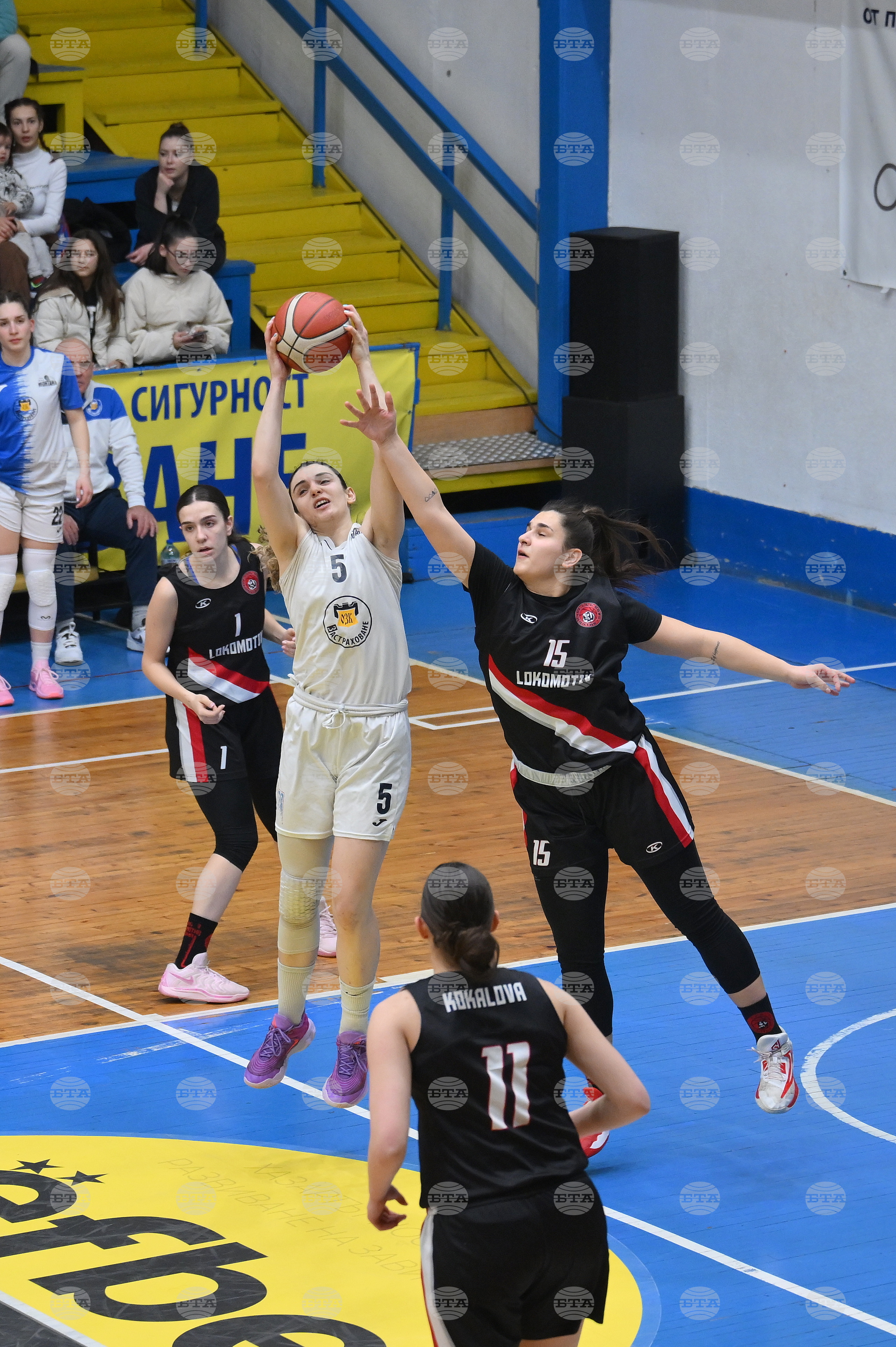 Монтана - баскетбол - "Монтана" - "Локомотив" - София