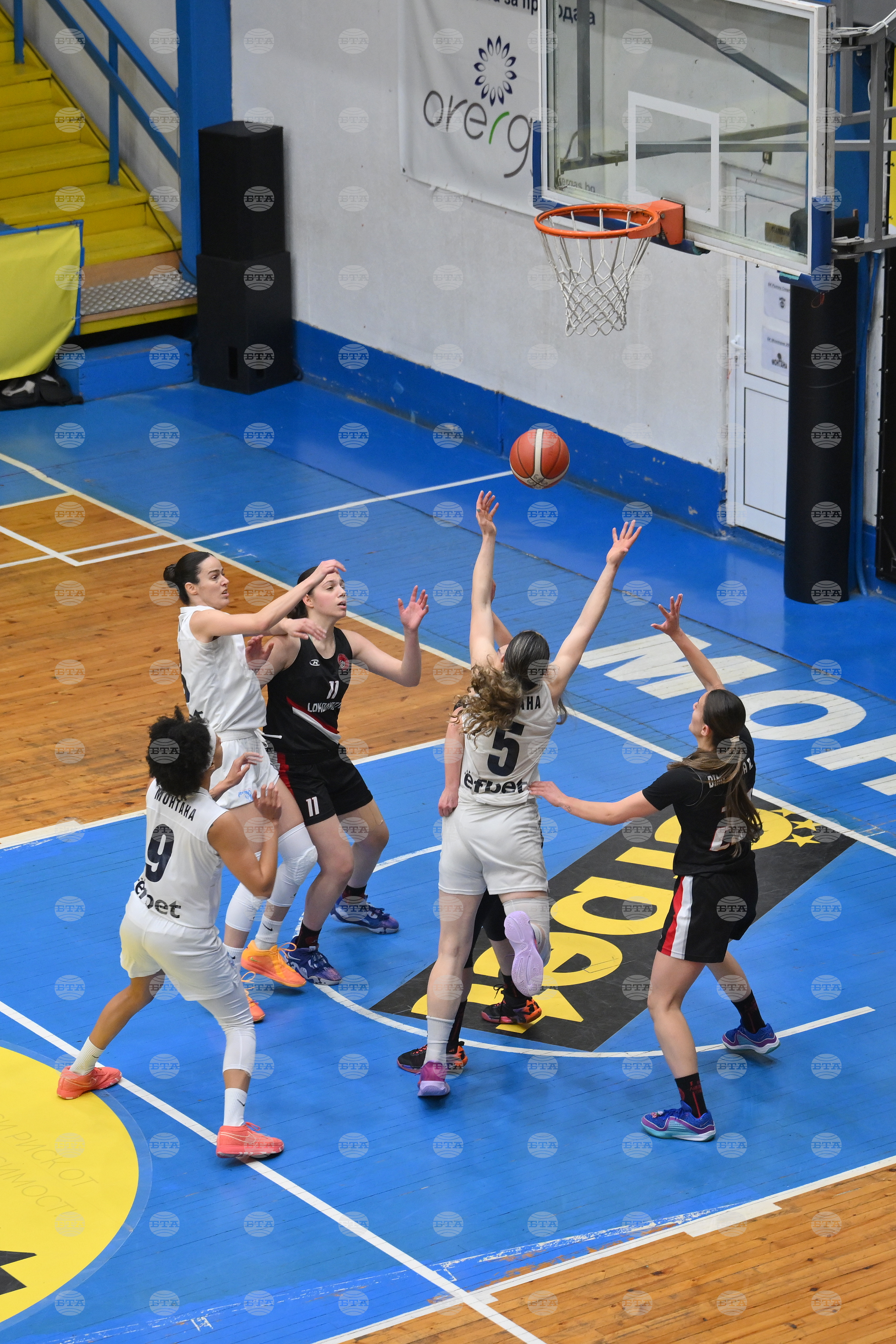 Монтана - баскетбол - "Монтана" - "Локомотив" - София