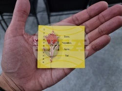 Видин - Тулипомания - моноспектакъл