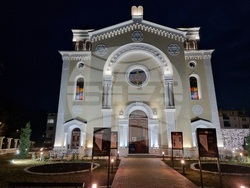 Видин - Тулипомания - моноспектакъл