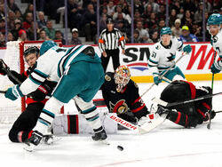 Sharks Senators Hockey