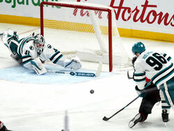 Sharks Senators Hockey