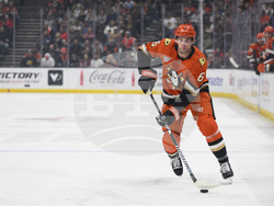 Blackhawks Ducks Hockey