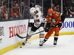 Blackhawks Ducks Hockey