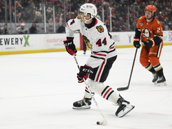 Blackhawks Ducks Hockey