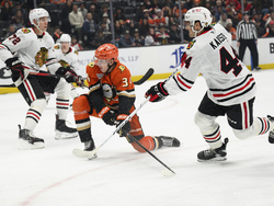 Blackhawks Ducks Hockey