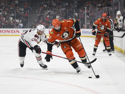 Blackhawks Ducks Hockey