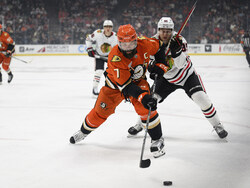 Blackhawks Ducks Hockey