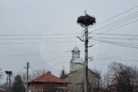 Село Подкрепа - щъркели