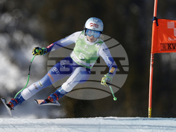 Norway Alpine Skiing World Cup