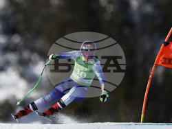 Norway Alpine Skiing World Cup