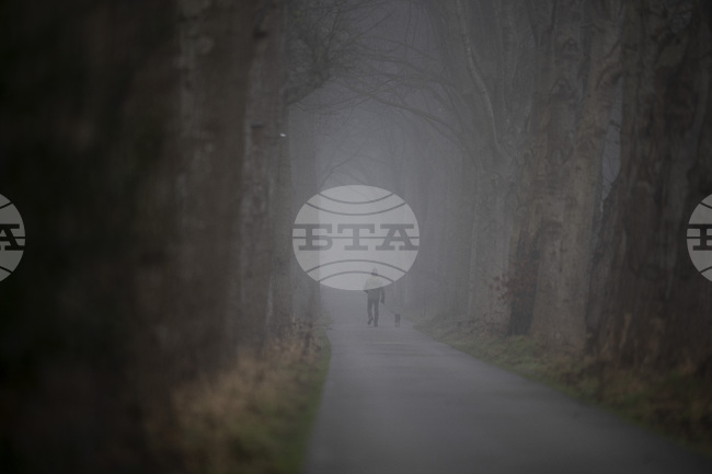 Нидерландските предприемачи виждат политиката като източник на несигурност