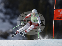 Norway Alpine Skiing World Cup