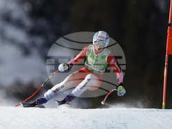 Norway Alpine Skiing World Cup