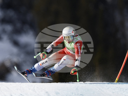 Norway Alpine Skiing World Cup