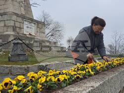 Пловдив - 3 март - цветя