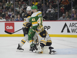 Bruins Wild Hockey