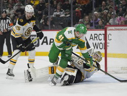 Bruins Wild Hockey
