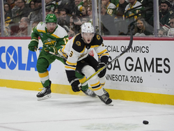 Bruins Wild Hockey