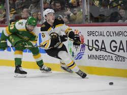 Bruins Wild Hockey