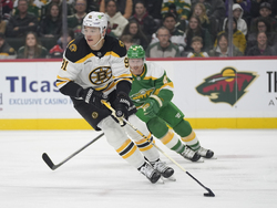 Bruins Wild Hockey